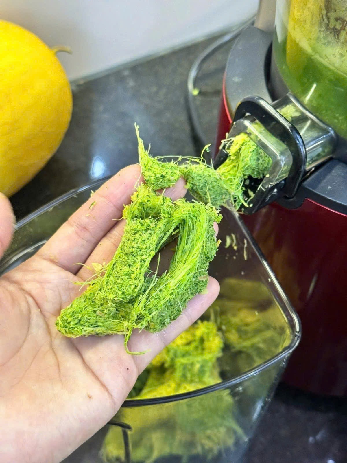 KÜCHEN PREMIUM SLOW JUICER